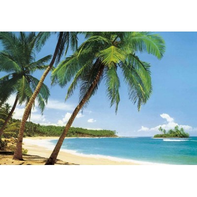 ILE TROPICALE