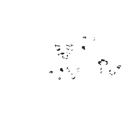 Vinilo Decorativo Floral FL301