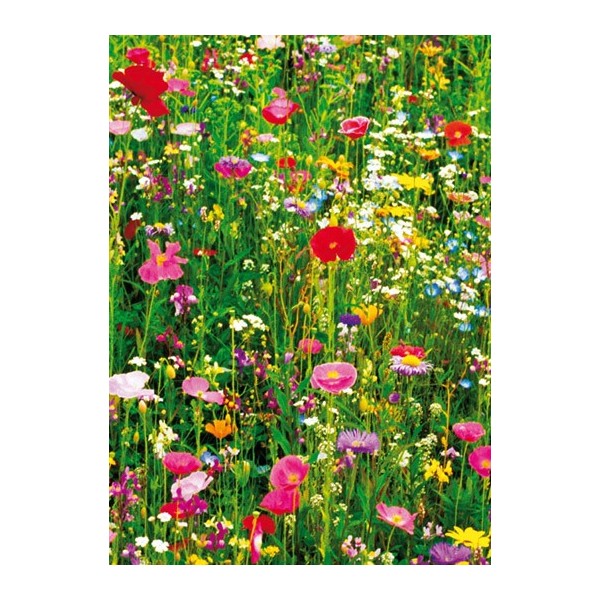 FLOWER FIELD