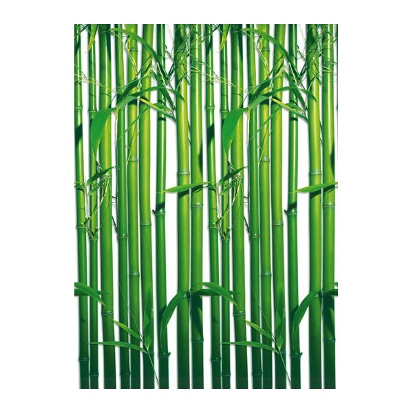 BAMBOO