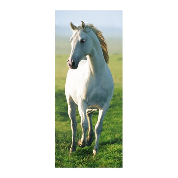 WHITE HORSE