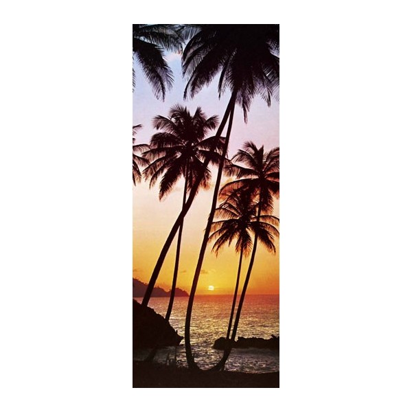 SUNNY PALMS