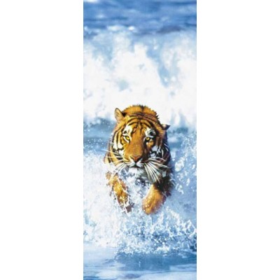 BENGAL TIGER