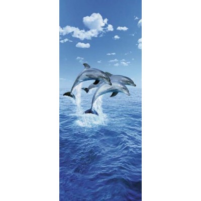 THREE DOLPHINS