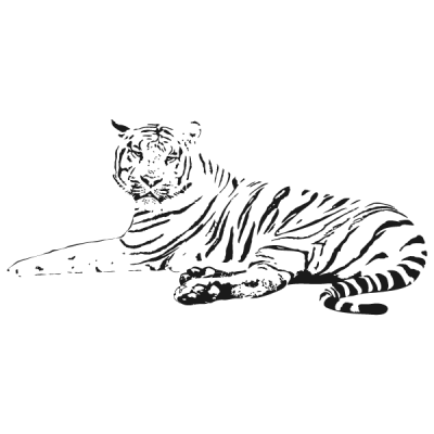 Vinilo Decorativo Moderno MO004