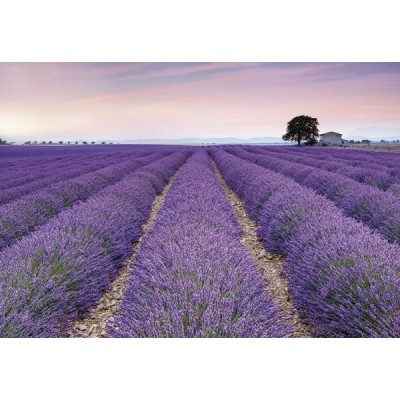 Fotomural PROVENCE XXL4-036 Fotomural PROVENCE XXL4-036