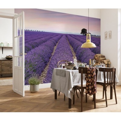 Fotomural PROVENCE XXL4-036 2