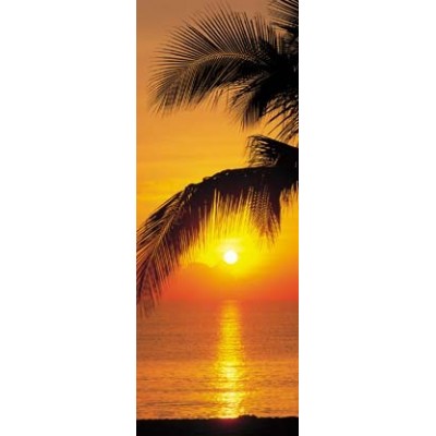 Fotomural PALMY BEACH SUNRISE 2-1255