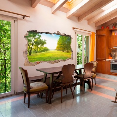Vinil Decorativo 3D NATUREZA V3DA004 2
