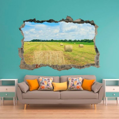 Vinilo Decorativo 3D CAMPO V3DA007