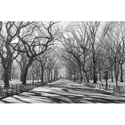 Fotomural POETS WALK NY 607 Fotomural POETS WALK NY 607