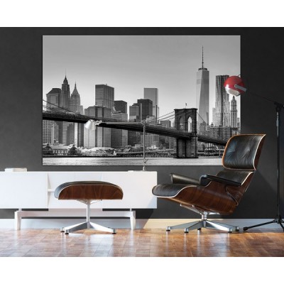 Fotomural NEW YORK 622 2