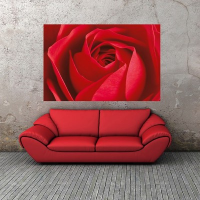 Fotomural L'IMPORTANT C'EST LA ROSE 680 2