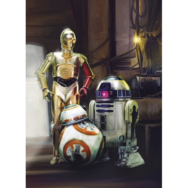 Fotomural STAR WARS THREE DROIDS 4-447