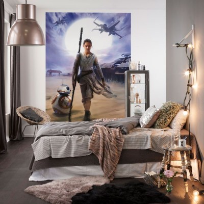 Fotomural STAR WARS REY 4-448