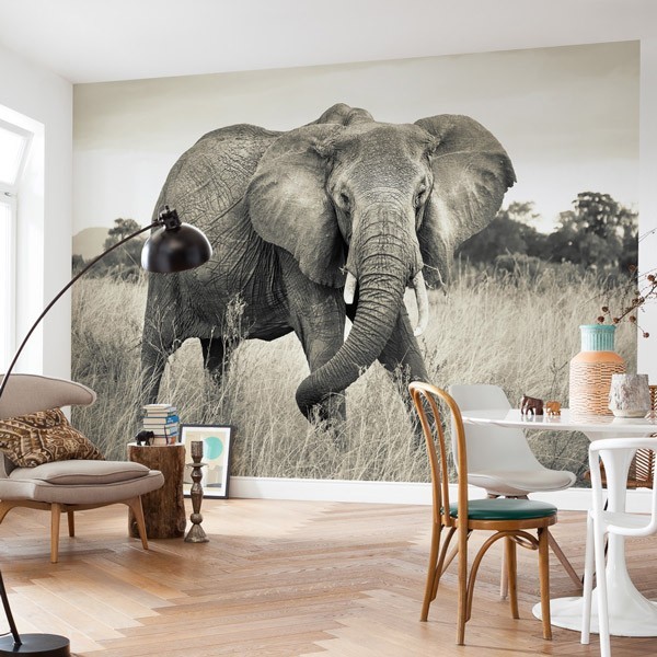 Fotomural ELEPHANT XXL4-529 Fotomural ELEPHANT XXL4-529