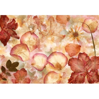 Fotomural DRIED FLOWERS Fotomural DRIED FLOWERS