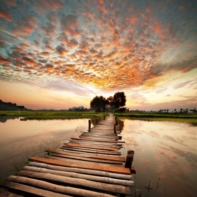 Fotomural Lago Passarela...