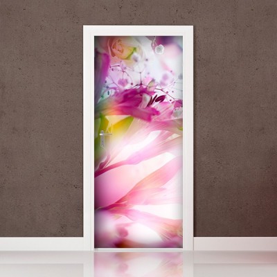 Fotomural Puerta P081