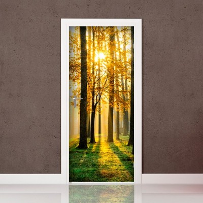 Fotomural Porta P024