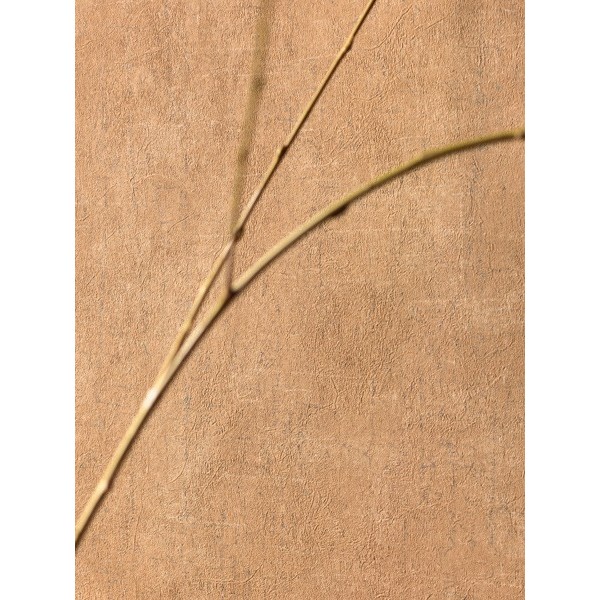 Papel de parede OXYDE OXY_2911_21_19