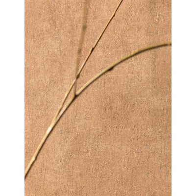 Papel de parede OXYDE OXY_2911_21_19