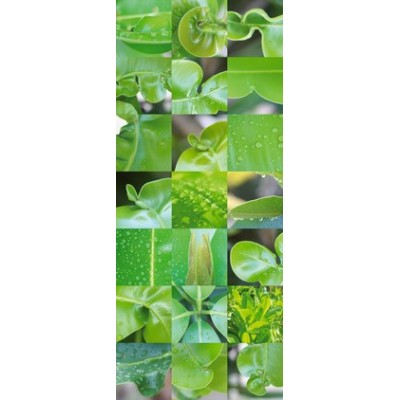 Fotomural TAUTROPFEN