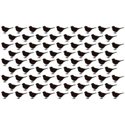 Vinilo Decorativo Pájaros PA011 2