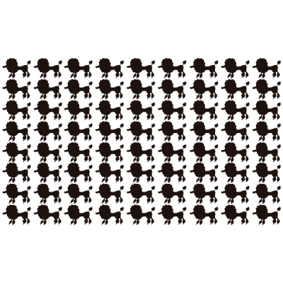 Vinil Decorativo Cão Caniche PA007