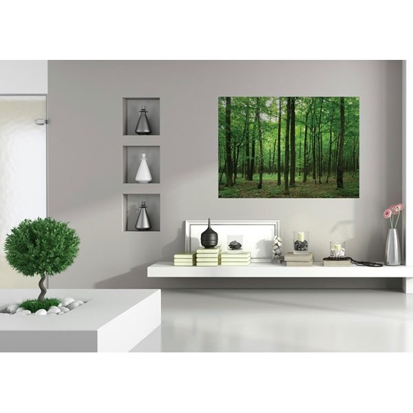 Fotomural FOREST