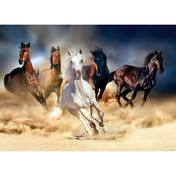Fotomural HORSES