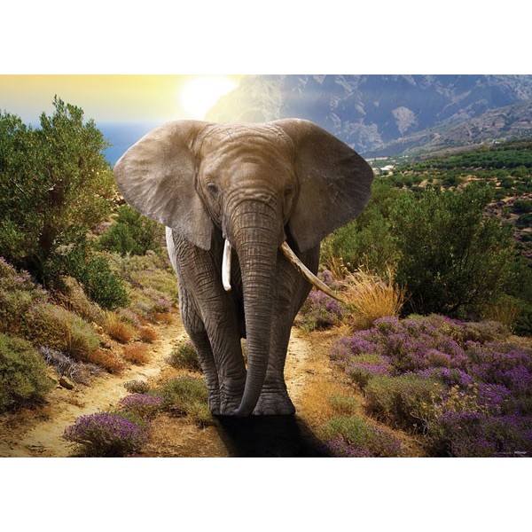 Fotomural ELEPHANT