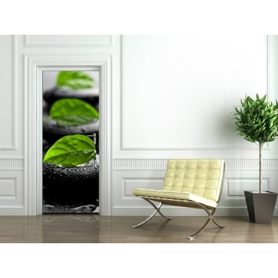 Fotomural Puerta FP054 2