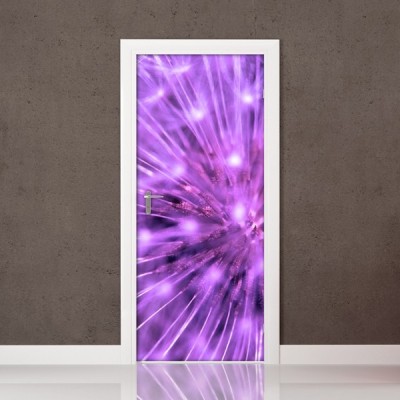 Fotomural Puerta FP023