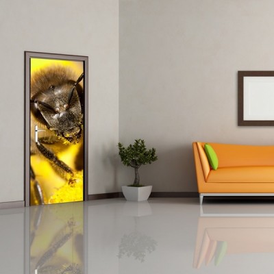 Fotomural Puerta FP008 2