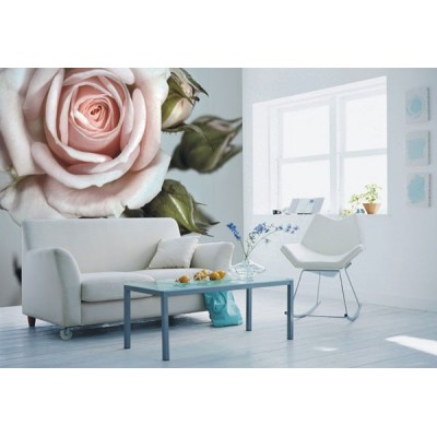 Fotomural ROSE