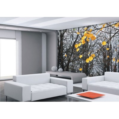 Fotomural AUTUMN LEAVES