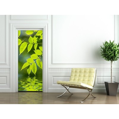 Fotomural Puerta FP027 2