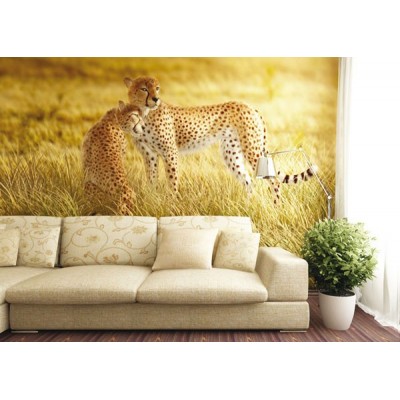 Fotomural LEOPARDS 2