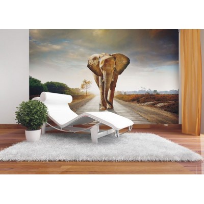 Fotomural ELEPHANT Fotomural ELEPHANT