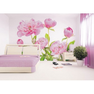 Fotomural PINK PEONY