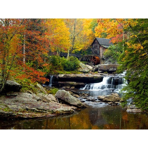 Fotomural AUTUMN MILL