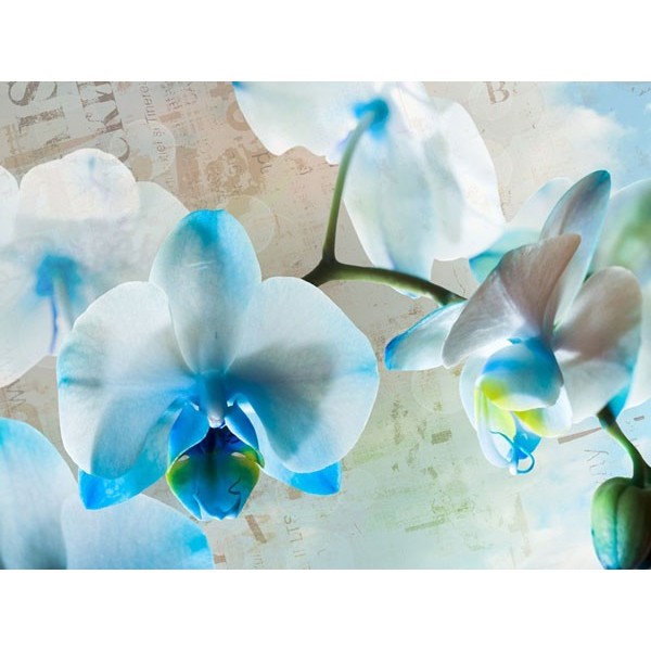Fotomural BLUE FLOWERS
