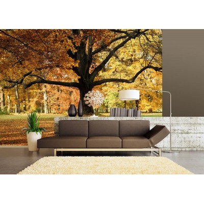 Fotomural TREE