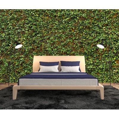 Fotomural IVY WALL  2