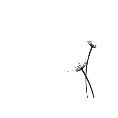 Vinilo Decorativo Floral FL211 2