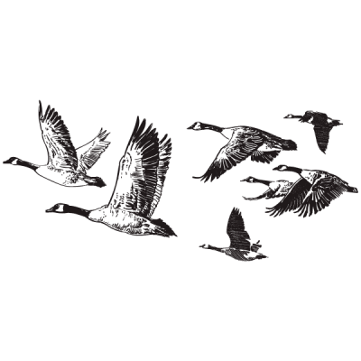 Vinil Decoratiu Modern MO183