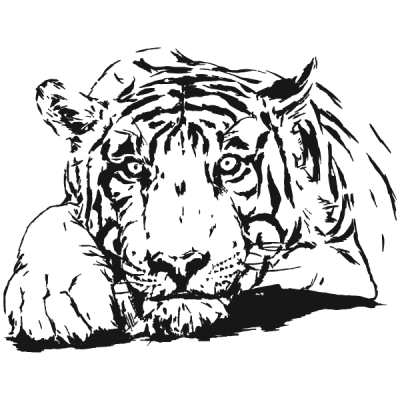 Vinil Decoratiu Modern MO191