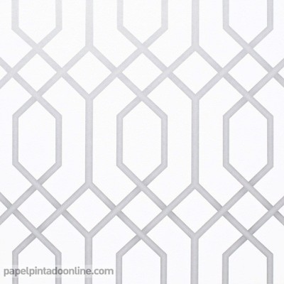 Papel de parede GEOMETRICO 302-01