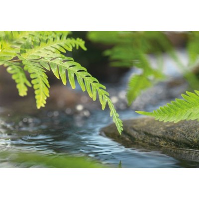 Fotomural ALONG THE RIVER Fotomural ALONG THE RIVER